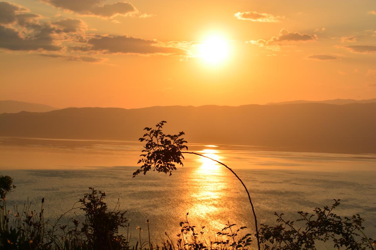 Paradise Nest Hotel Ohrid Exterior foto